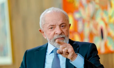 Lula taxa