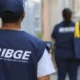 ibge